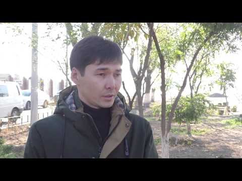 Просмотр видео Просмотр видео