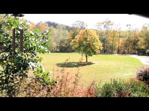 91 Acres, Newer Log Ranch Lodge+Historic Log Cabin
