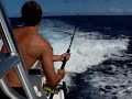 found some stuff floating and caught 5 wahoo, 2 mahi and a marlin. this wahoo was yanked in by francis.