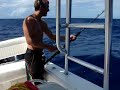 found some stuff floating and caught 5 wahoo, 2 mahi and a marlin. this wahoo was yanked in by francis.