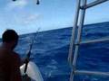 wahoo fishing