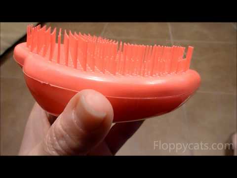 Cat Brush and Comb What Are Your Favorite Cat Grooming Tools? 0 Cat Brush and Comb What Are Your Favorite Cat Grooming Tools?
