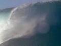 Surf Regee