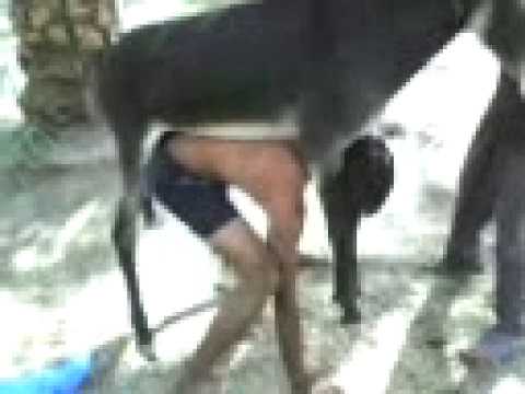 سكس رجال صور
