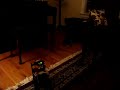 Frank the Dog vs. the Halloween Witch