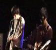 madcap death panda - カーテン