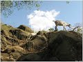 Etiopia J.Tana Tis Ysat