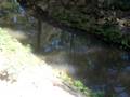 Magic Garden Adventure Walks