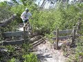 log pile