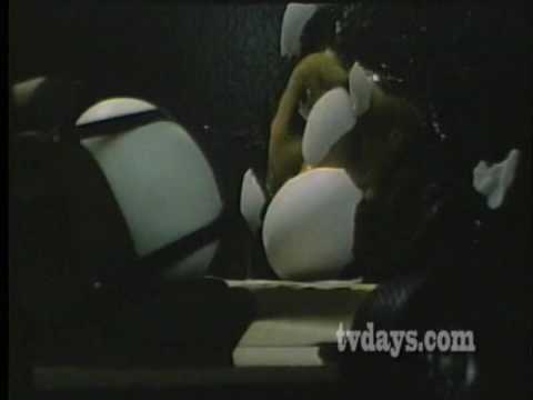 how to make a seat belt for an egg