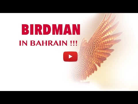 Birdman in Bahrain Birdman in Bahrain