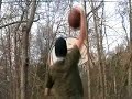 Slam Dunk