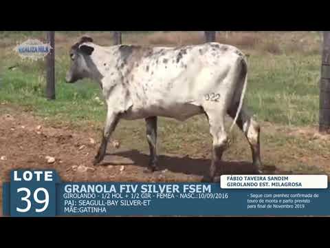 LOTE 39 - GRANOLA FIV SILVER -