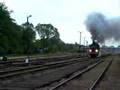 Partenza treno a vapore dalla stazione di Wolsztin (Polonia)