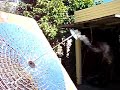 Solar Boiler Test Solar Boiler Test
