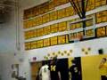 Steetball