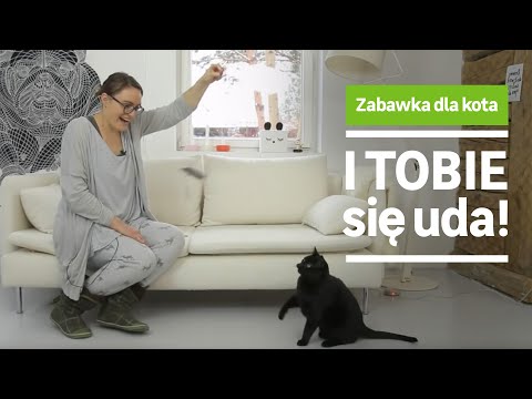 Zabawka dla kota