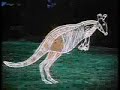 The Bunyip Video