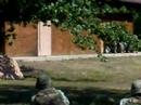 Breaching Charge