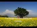 Brooke Fraser - Shadowfeet (legendado)