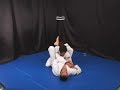 armbar variation (very nice)