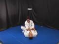 armbar variation (very nice)