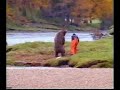 bear fight!