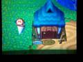videos de Animal Crossing Gamecube AR demonstration