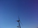 masha et les éoliennes