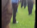 ACBT vs APIIT cricket fight