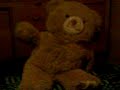 eL OSo pArTe 1