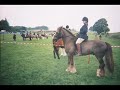 murf-and-me.html