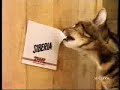 Funny comercial