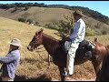 CAVALGADA DA MANTIQUEIRA