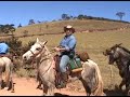 CAVALGADA DA MANTIQUEIRA