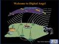 National Animal Identification System - Part 1