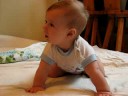 Tom - 6m