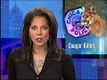 cougar killed in chicago: daley responds