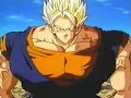 Buu Inside Vegito Buu Inside Vegito