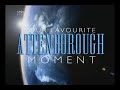 Lyre Bird - Imitating Sounds - David Attenborough