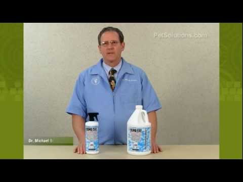 Dumb Cat Spray