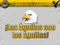 LAs Aguilas Cibaeñas Beisbol Dominicano