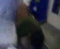 YEah this is the Part When he sayd AWWW that hurt...