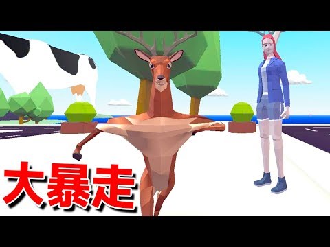 動画