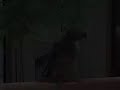 Thumbnail #3