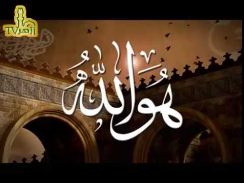 الحلقة 3 من شرح كليلة ودمنة للدكتور على صالح الازهرى | قناة ازهر تى فى