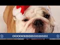 Butler Admission eCard