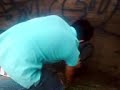 Bombas.3gp Bombas.3gp