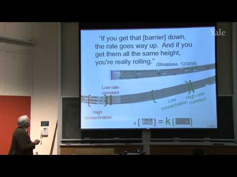 chain reaction cycles