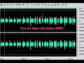 Bin laden falso 2007, fake binladen